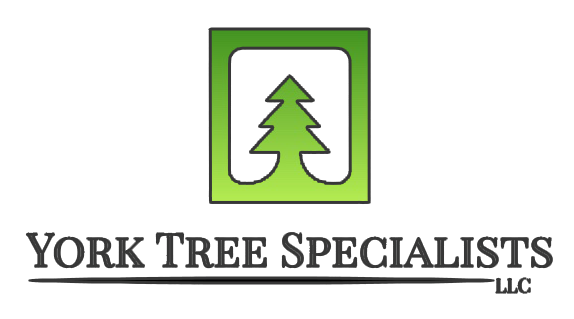 York Tree Specialists LLC